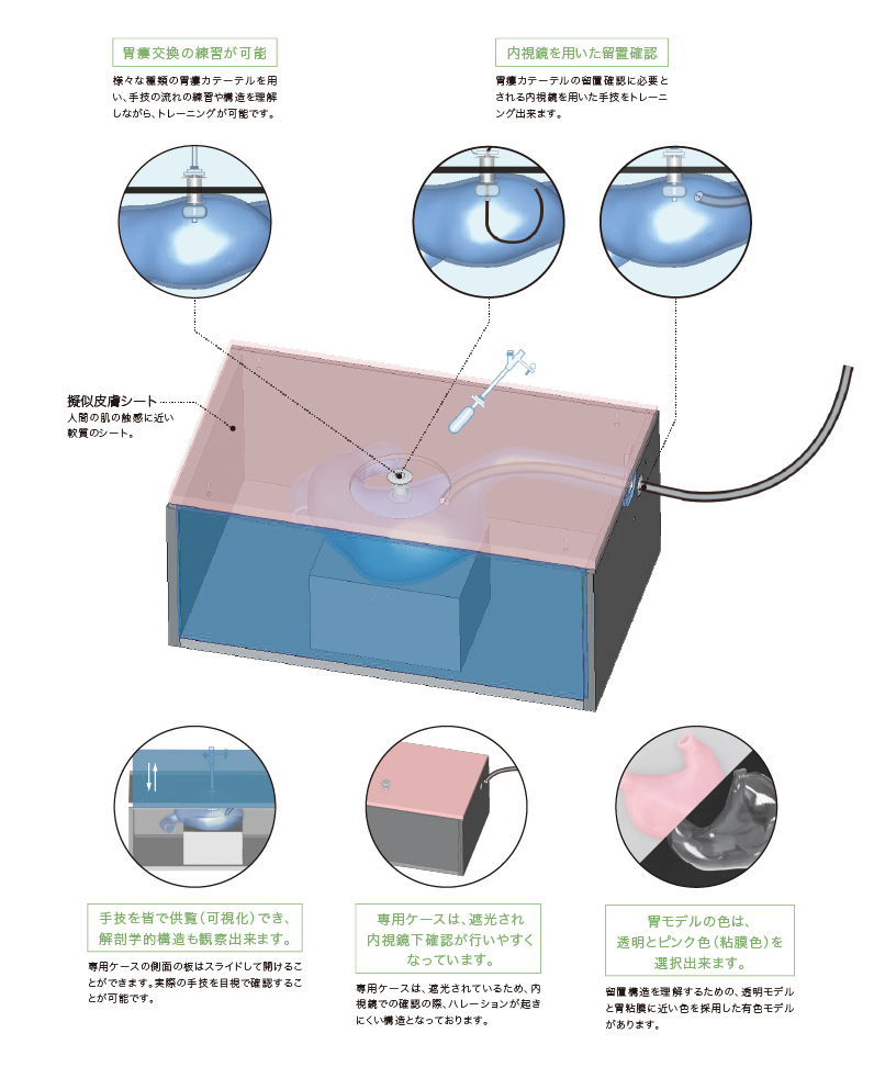 胃瘻交換シミュレーターの製品情報
